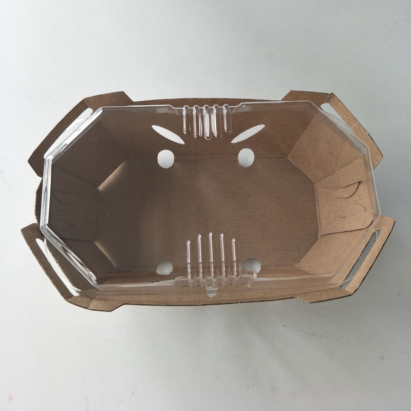 PET Lid와 재활용할 수 있는 350gsm 크라프트 지 과일 트레이