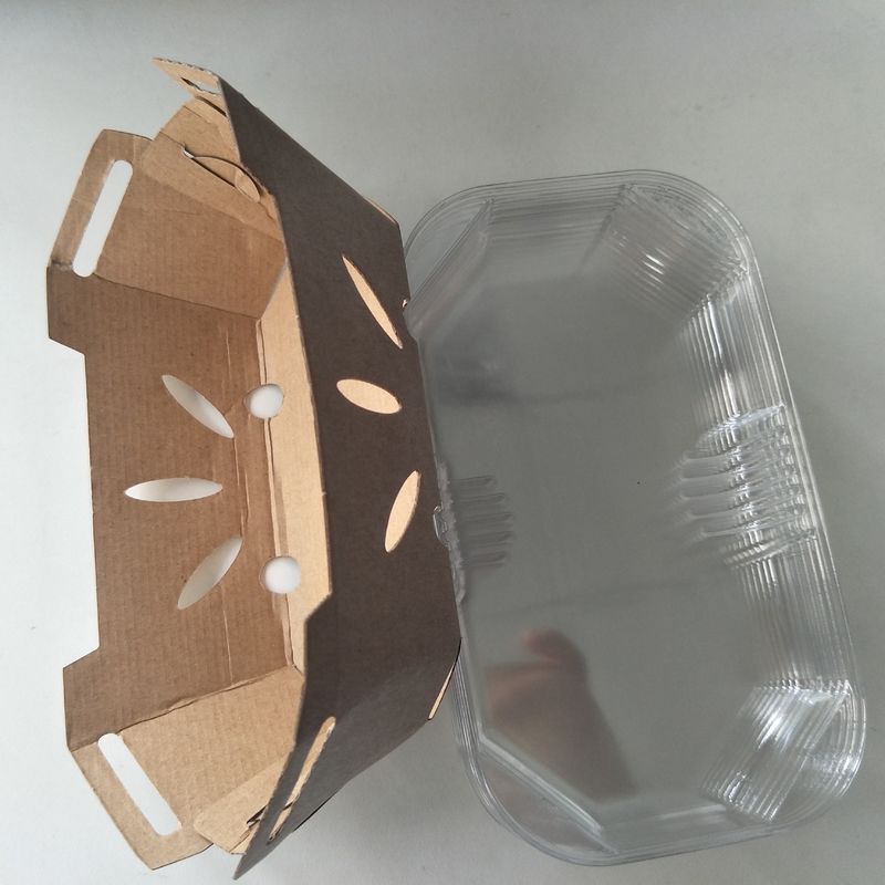 PET Lid와 재활용할 수 있는 350gsm 크라프트 지 과일 트레이